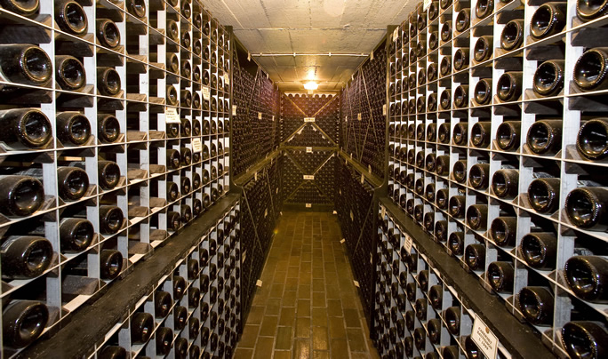 VINAKOPER社の様子2